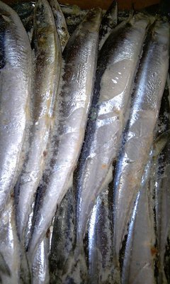 冷冻粗加工水产品-我司现有秋刀鱼出售,有需要的客户请与我们联系-冷冻粗加工水产品.
