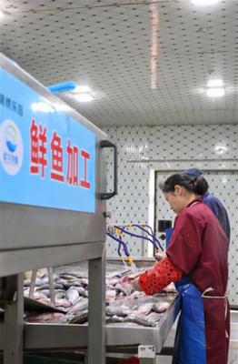 武汉东西湖有条净鱼产业链,让武汉水产品走向全国人民餐桌